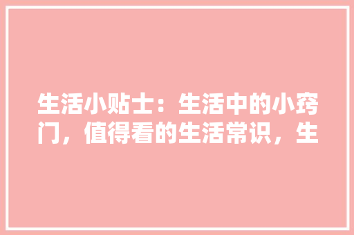 打造个性化理财计划，实现财务自由之路