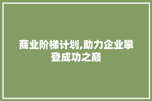 商业阶梯计划,助力企业攀登成功之巅