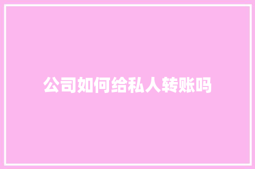 公司如何给私人转账吗