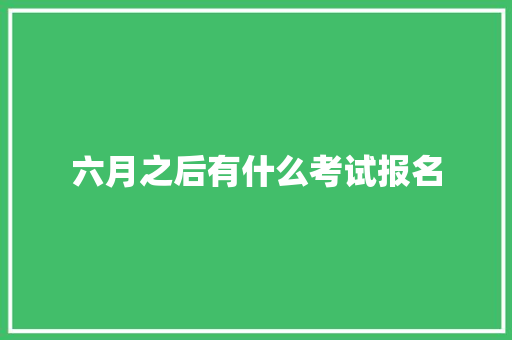 六月之后有什么考试报名