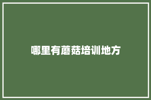 哪里有蘑菇培训地方