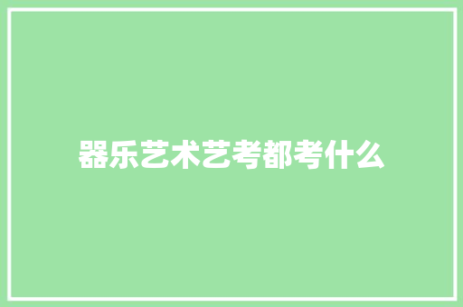 器乐艺术艺考都考什么