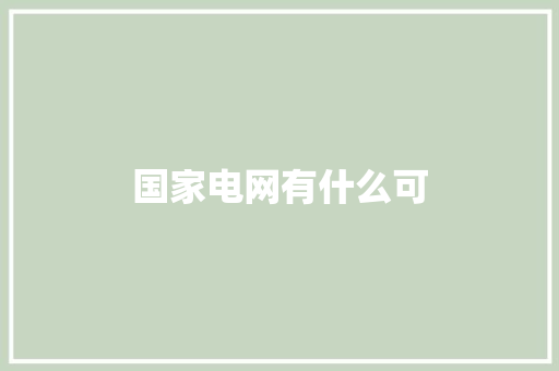 国家电网有什么可