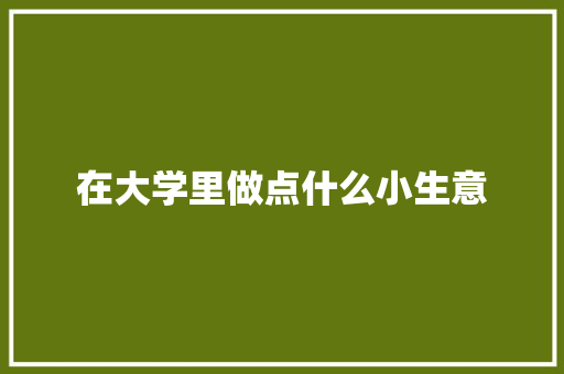 在大学里做点什么小生意
