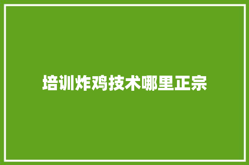 培训炸鸡技术哪里正宗