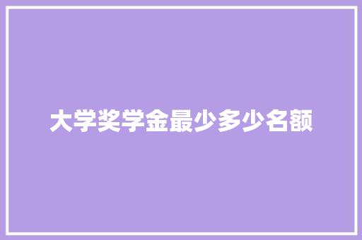 大学奖学金最少多少名额