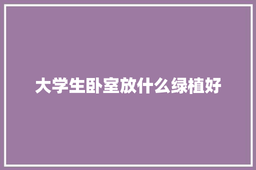 大学生卧室放什么绿植好
