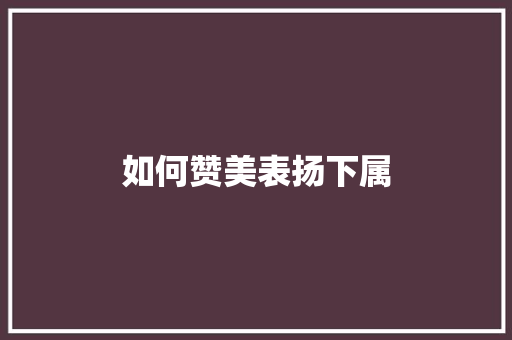如何赞美表扬下属