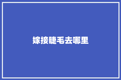 嫁接睫毛去哪里