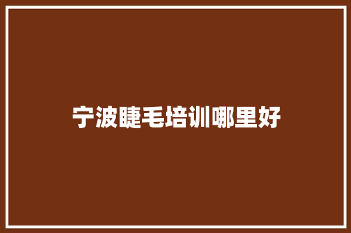 宁波睫毛培训哪里好