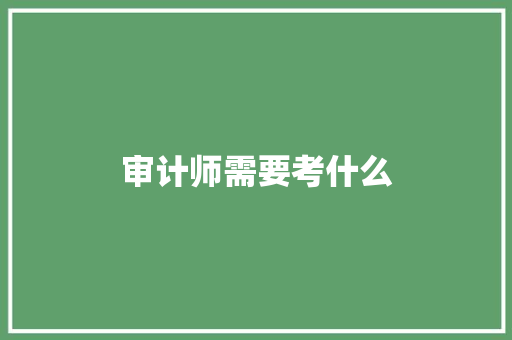 审计师需要考什么