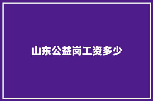 山东公益岗工资多少