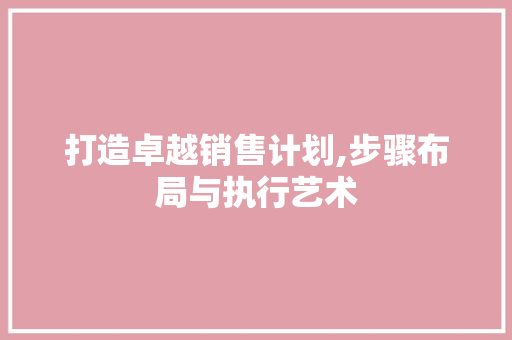 打造卓越销售计划,步骤布局与执行艺术