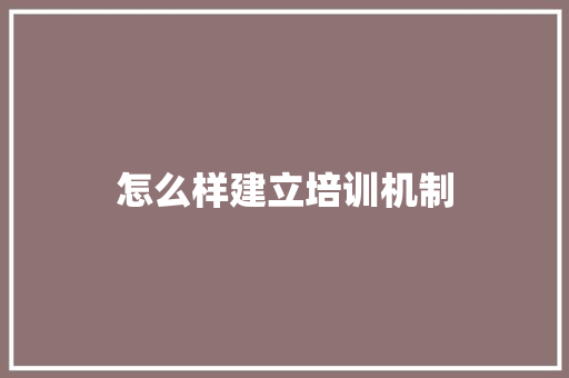 怎么样建立培训机制