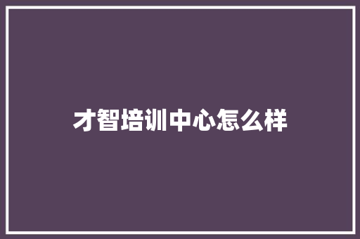 才智培训中心怎么样