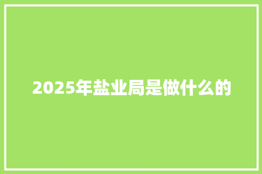 2025年盐业局是做什么的
