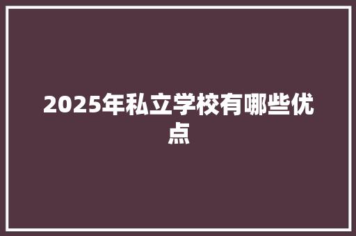 2025年私立学校有哪些优点