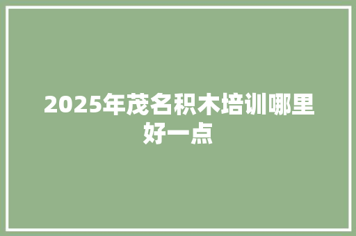 2025年茂名积木培训哪里好一点