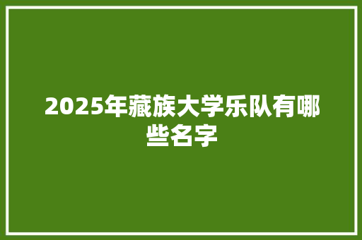 2025年藏族大学乐队有哪些名字 工作报告