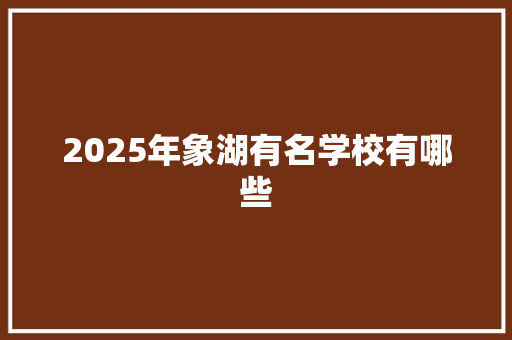 2025年象湖有名学校有哪些 工作类