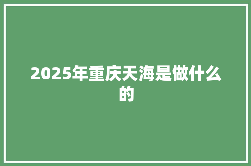 2025年重庆天海是做什么的 工作报告