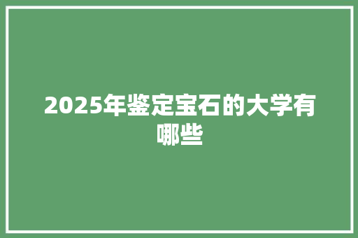2025年鉴定宝石的大学有哪些