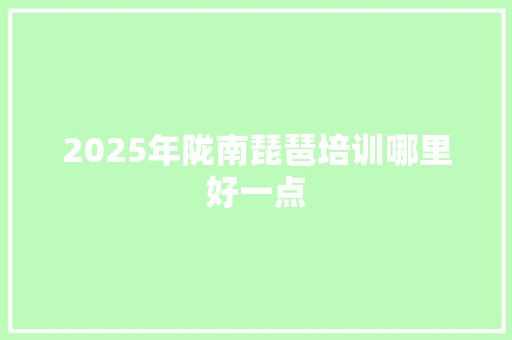 2025年陇南琵琶培训哪里好一点