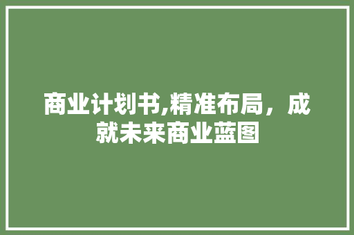 商业计划书,精准布局，成就未来商业蓝图
