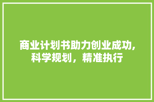 商业计划书助力创业成功,科学规划，精准执行
