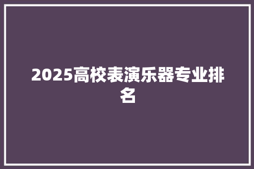 2025高校表演乐器专业排名