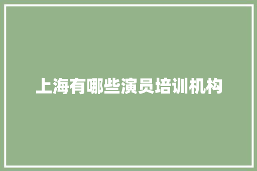 上海有哪些演员培训机构 生活感悟