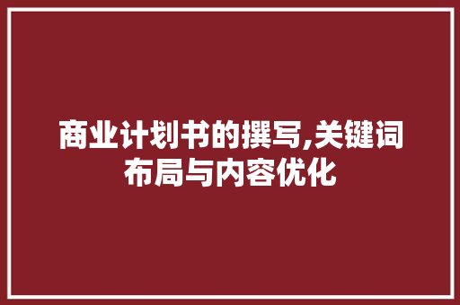 商业计划书的撰写,关键词布局与内容优化