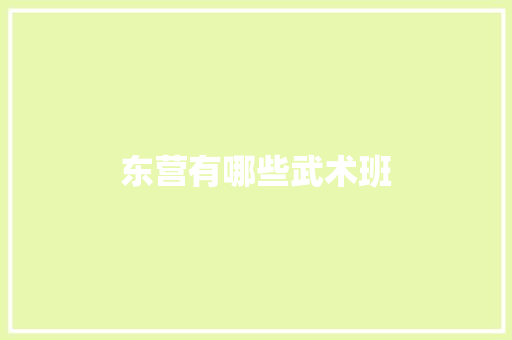 东营有哪些武术班 生活随笔