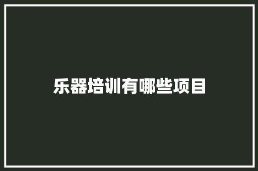 乐器培训有哪些项目