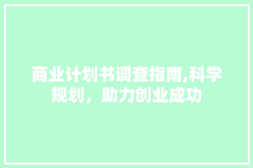 商业计划书调查指南,科学规划，助力创业成功