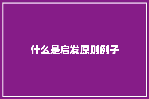 什么是启发原则例子