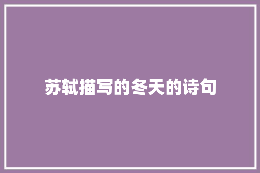 苏轼描写的冬天的诗句