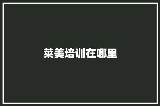 莱美培训在哪里 工作报告