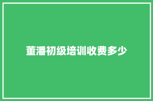董潘初级培训收费多少