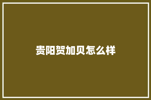 贵阳贺加贝怎么样