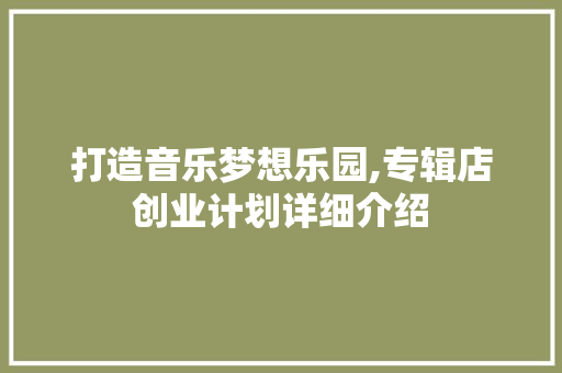 打造音乐梦想乐园,专辑店创业计划详细介绍
