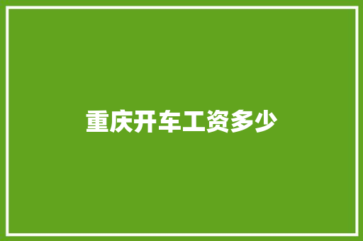 重庆开车工资多少