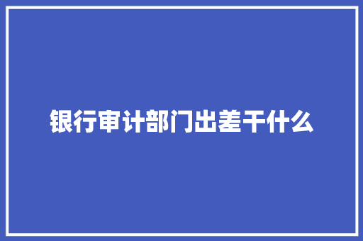 银行审计部门出差干什么