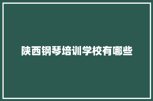 陕西钢琴培训学校有哪些