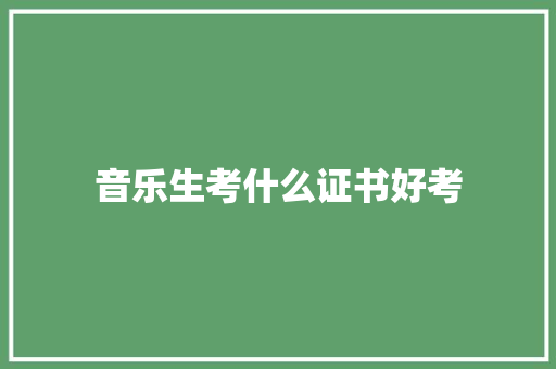 音乐生考什么证书好考