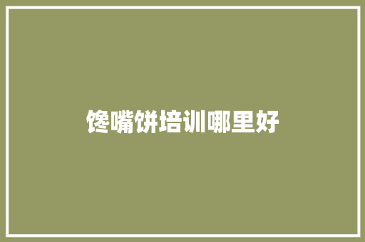 馋嘴饼培训哪里好