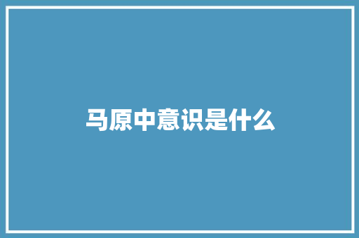 马原中意识是什么