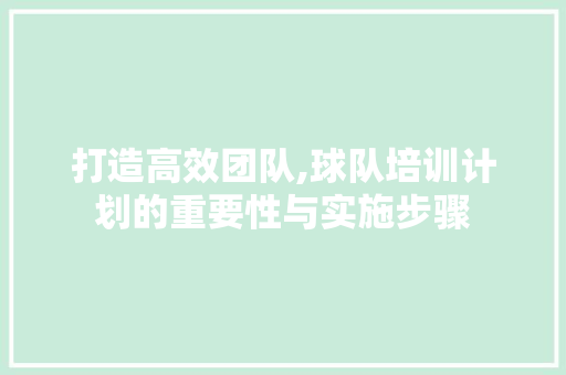 打造高效团队,球队培训计划的重要性与实施步骤