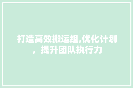 打造高效搬运组,优化计划，提升团队执行力