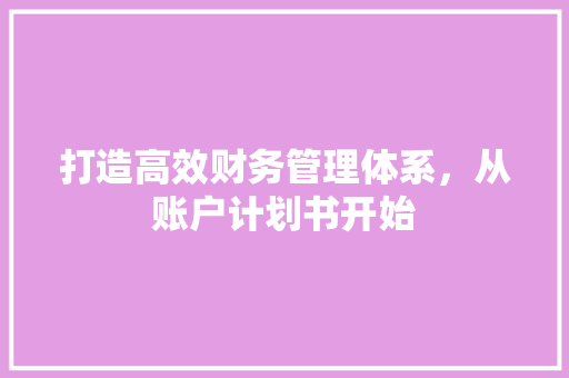 打造高效财务管理体系，从账户计划书开始